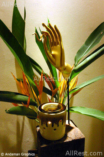 Deevana Patong Resort Spa 61